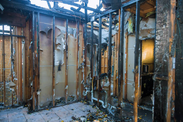 Professional Soot Cleanup technician working in Young America, MN